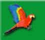 Logo of Polymac Services Ltd.