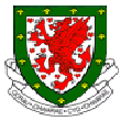 Welsh F.A.