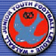 Walsall Junior Youth & Minor League