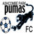 Ashcombe Park Pumas