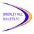 Brierley Hill Bullets