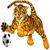 Market Drayton Tigers