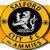 Salford City
